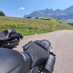 Baerensattel Motorradsitz